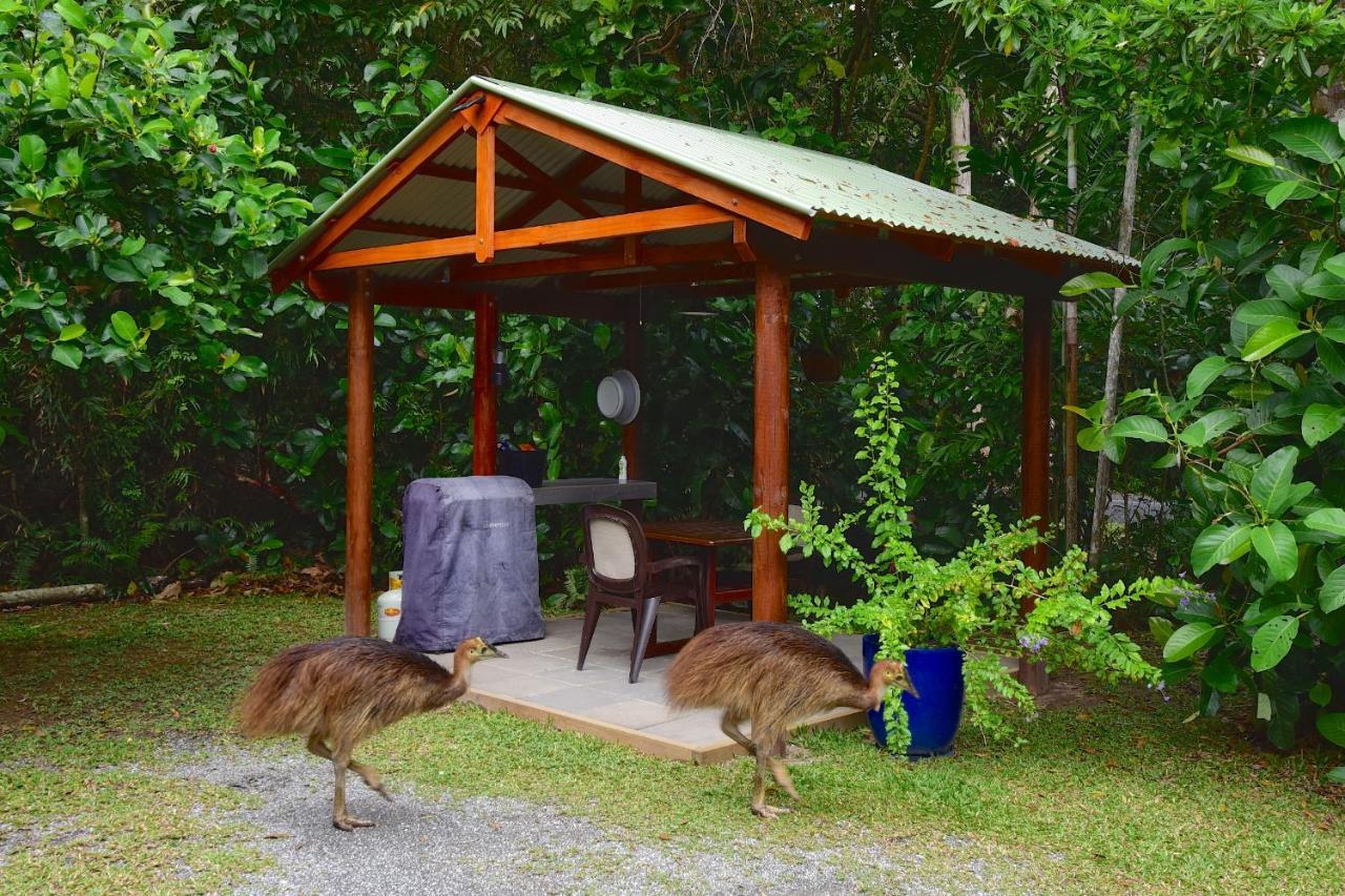 Thornton Beach Bungalows Daintree Cape Tribulation Zewnętrze zdjęcie