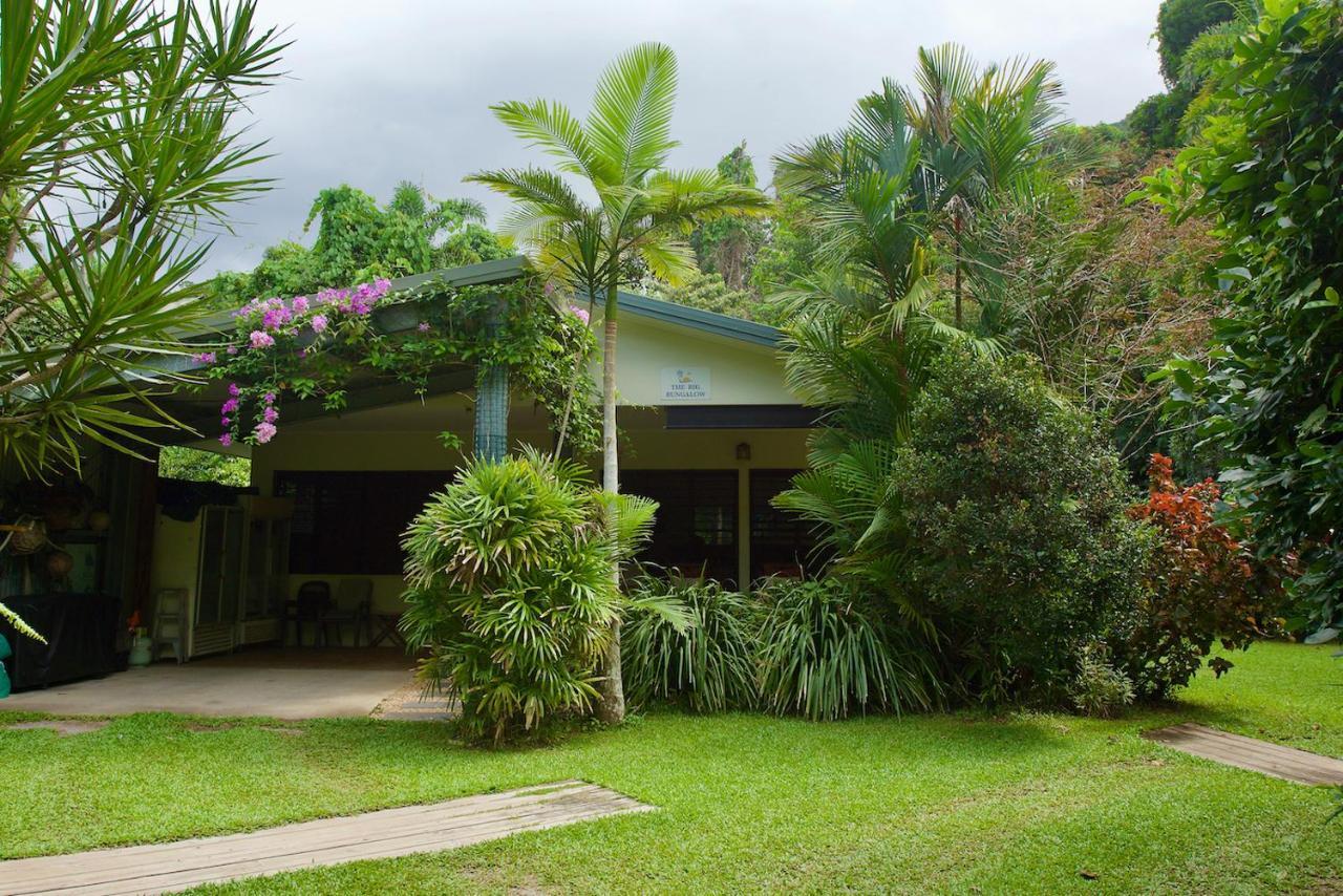 Thornton Beach Bungalows Daintree Cape Tribulation Zewnętrze zdjęcie