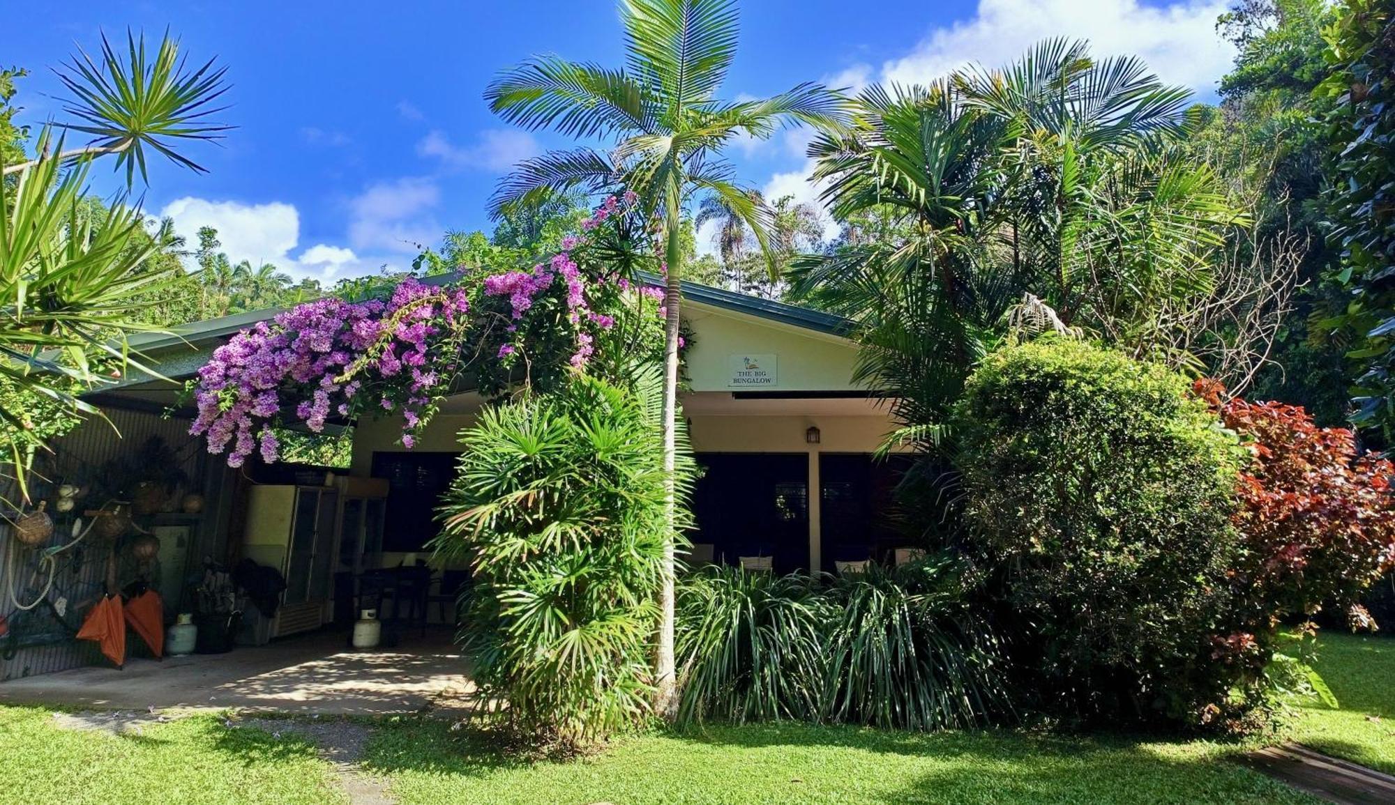 Thornton Beach Bungalows Daintree Cape Tribulation Zewnętrze zdjęcie